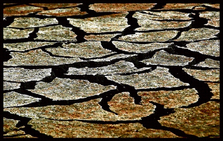 ‘Is er dan niemand die op de gedachte komt dat al die zogenaamde rampen, zoals smeltende gletsjers en extreme droogte, normale natuurverschijnselen zijn?’ ; 1. de uitgedroogde bodem van een wasmeer in Laren, NH ; 2. smeltend ijs in de lente in de Golf van St Lawrence, Canada Foto’s Reuters en Rien Zilvold