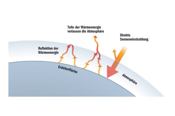 treibhaus3_DW_Wissenschaft_Steinhude.jpg